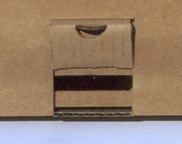 Detailansicht des Fluglochs im geöffneten Zustand. Bei Bedarf ist das Einschieben eines zusätzlichen kleinen Sperrgitters leicht möglich.