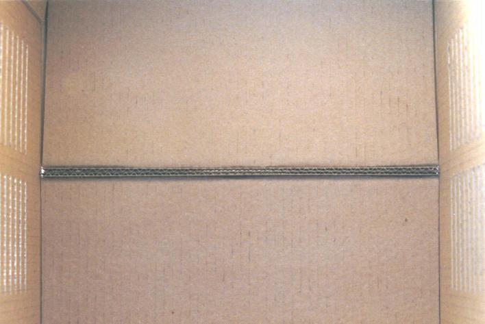 Die Innenansicht des Schwarmfangkastens. Nach dem Einschlagen des Schwarms knnen die Bienen eine 'Bauhilfe', nmlich die Innenseite des Handgriffes benutzen.